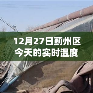 蓟州区今日实时气温