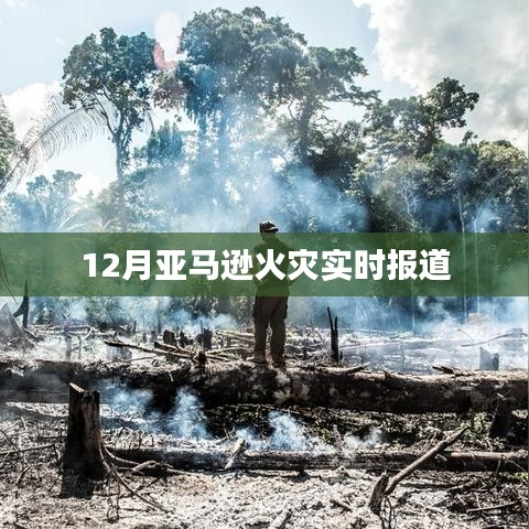 亚马逊火灾最新实时报道动态