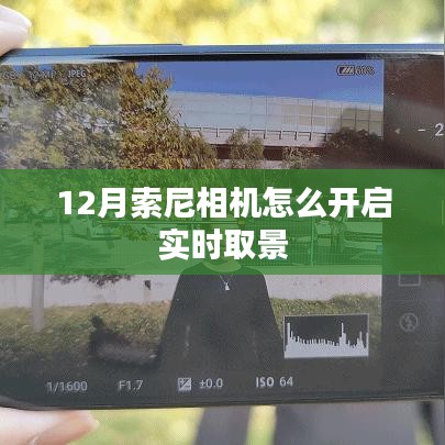 索尼相机12月实时取景开启指南