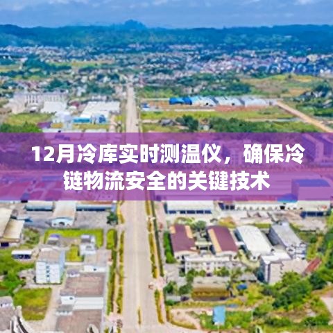 冷链物流安全的守护者,实时测温仪监控冷库温度