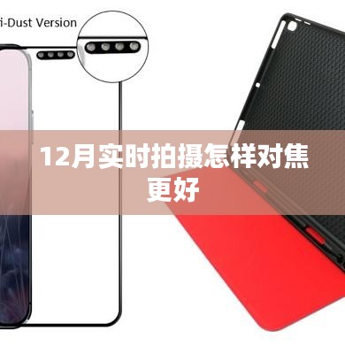 冬季拍摄技巧,如何优化对焦提升照片质量