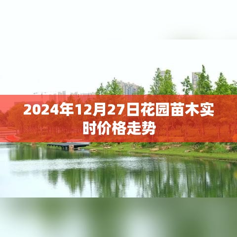 2024年12月27日花园苗木价格走势分析