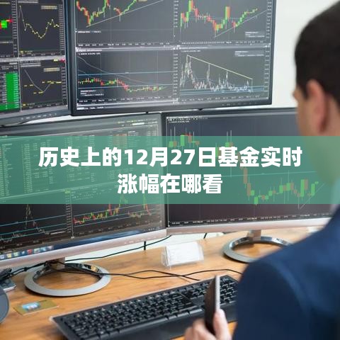 历史基金实时涨幅查询指南,如何查看基金在特定日期的表现