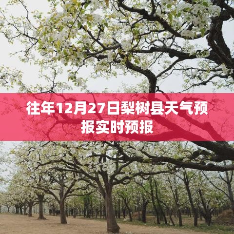 梨树县天气预报实时更新|往年12月27日天气预测