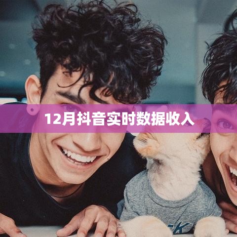 抖音实时数据收入揭秘,月入巅峰,揭秘背后的秘密