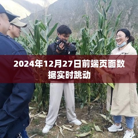 2024年前端页面数据实时更新技术解析