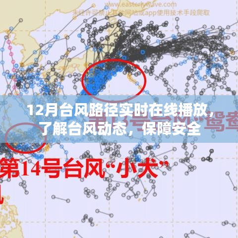 台风路径实时播报,安全无忧!在线查看台风动态
