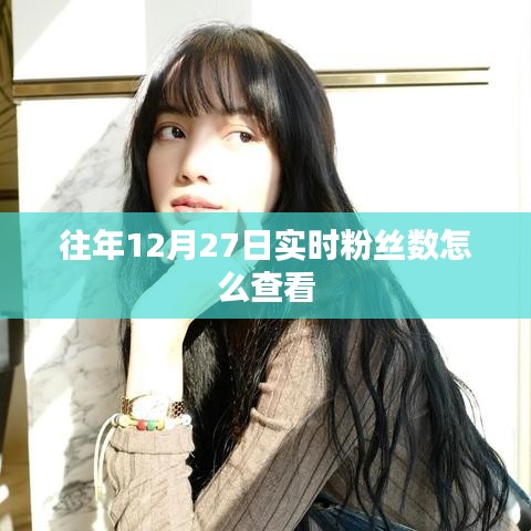 如何查看往年12月27日实时粉丝数统计