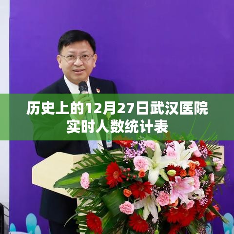武汉医院实时人数统计表,历史数据一览
