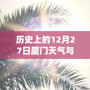 厦门历史天气与实时温度对比