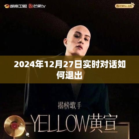如何退出实时对话,步骤详解(时间戳,2024年12月27日)