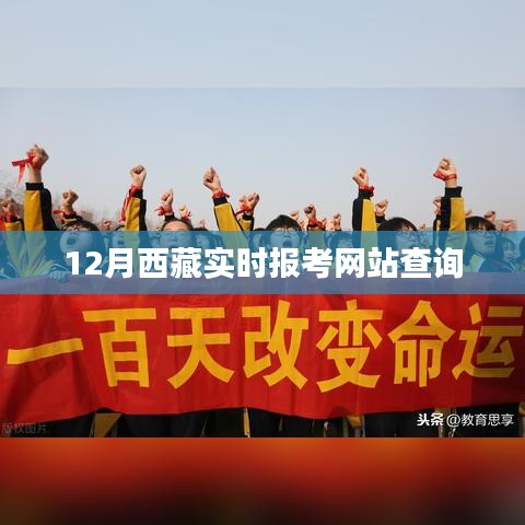 西藏实时报考网站查询指南