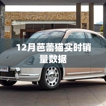 12月芭蕾猫销量数据实时更新