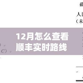 顺丰实时路线查询攻略,12月版