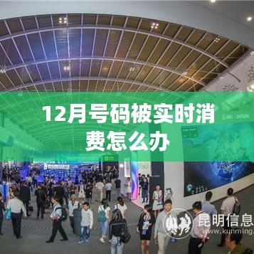 12月实时消费号码处理攻略