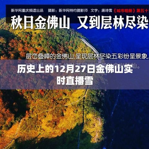 金佛山雪景直播回顾,历史上的雪韵风华
