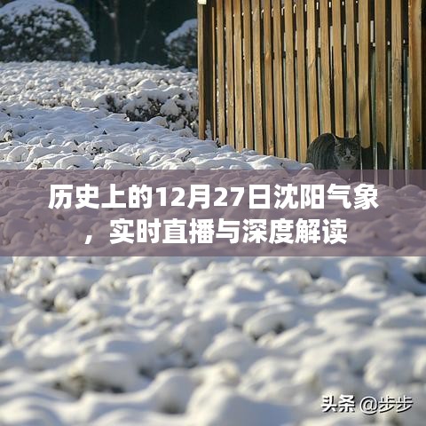 沈阳气象深度解读,历史上的12月27日实时直播回顾