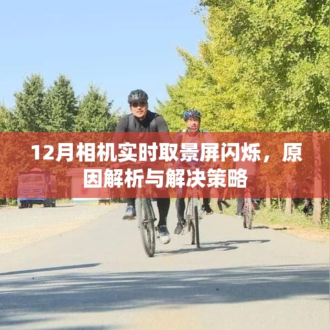 相机实时取景屏闪烁原因及解决策略解析