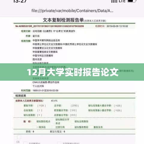 最新大学实时报告论文,聚焦十二月动态分析