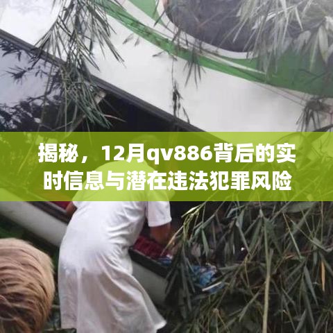 揭秘,qv886实时信息及潜在违法犯罪风险解析
