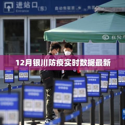 银川12月防疫实时数据更新