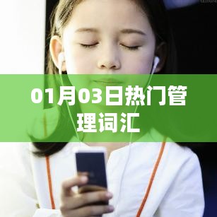 01月03日最新热门管理词汇概览