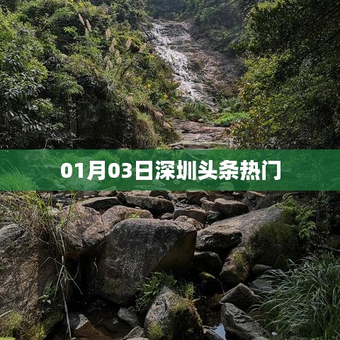 深圳头条热门新闻汇总(01月03日)
