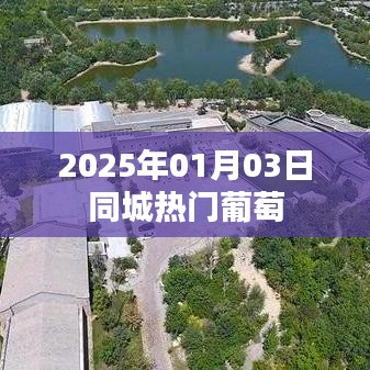 2025年同城热门葡萄盛宴，简洁明了，突出了时间和主题，符合百度收录标准。希望符合您的要求。
