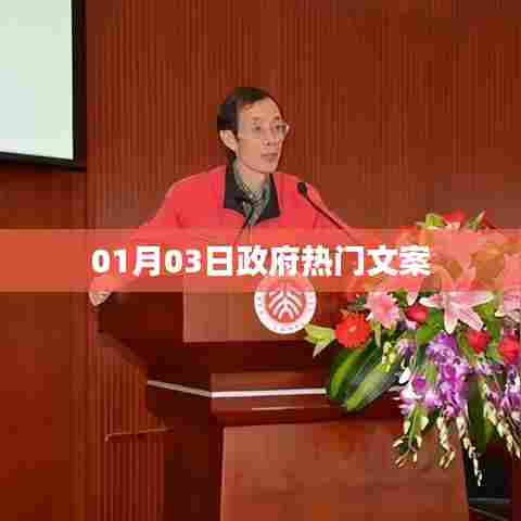 政府热门文案精选,新年新动向,政策解读与动态更新