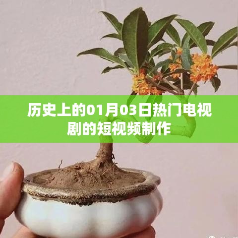 热门电视剧短视频制作盘点,历史上的那些日子
