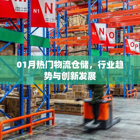 物流仓储行业趋势与创新发展,一月热门看点