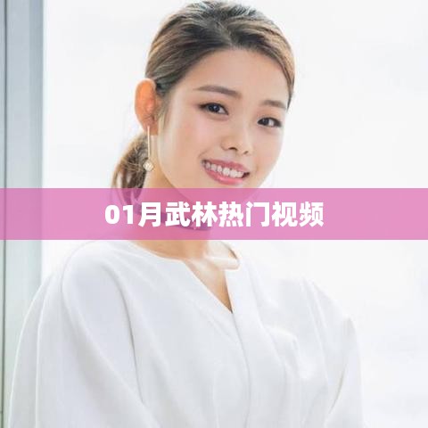 武林热门视频大盘点