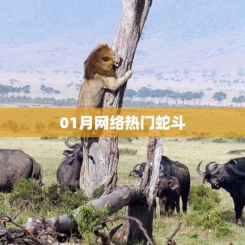 蛇斗游戏火爆网络,一月热议不断