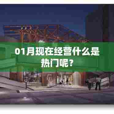 最新热门经营项目一月份解析