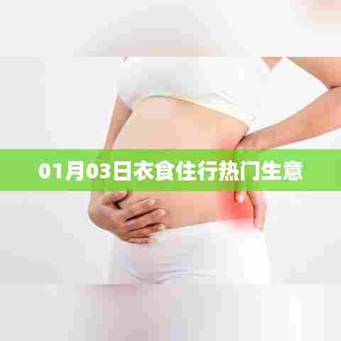 衣食住行热门生意,揭秘成功秘诀