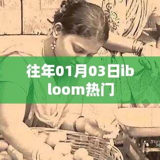 往年元旦后热门事件回顾,ibloom引领潮流风向标