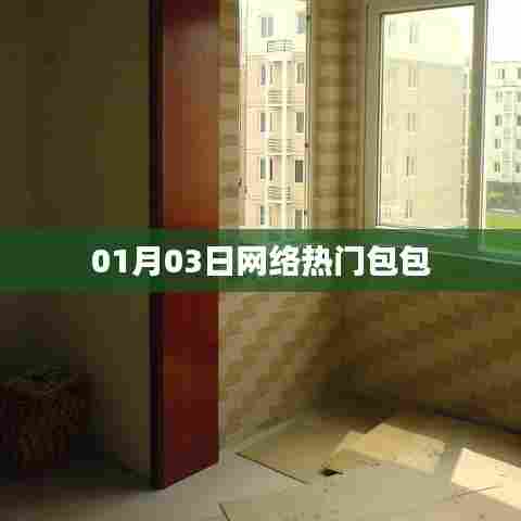 网络热门包包大揭秘,最新流行趋势(日期,01月03日)