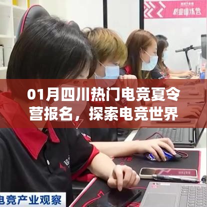 四川电竞夏令营报名启动,探索电竞世界的魅力之旅