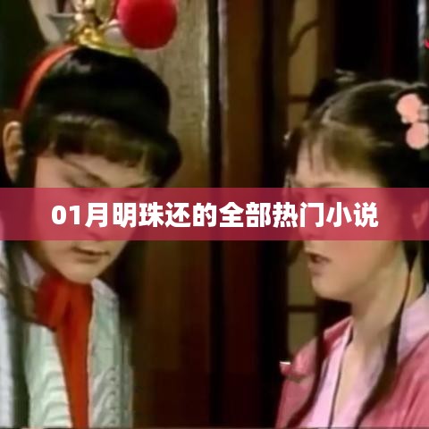 明珠热门小说大赏,一月必读之选