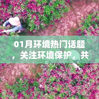 共建绿色家园,关注环境保护热门话题
