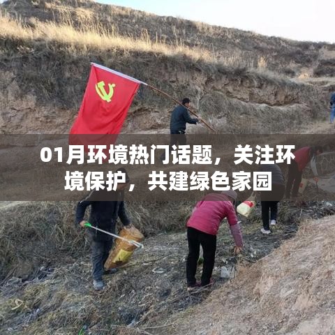 共建绿色家园,关注环境保护热门话题