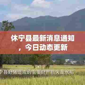 休宁县最新消息通知,今日动态更新