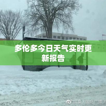 多伦多今日天气实时更新报告
