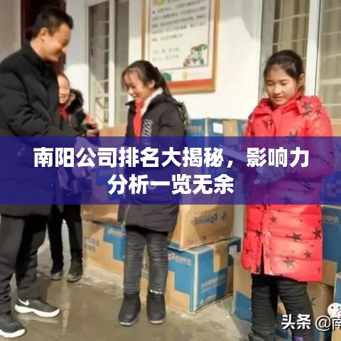 南阳公司排名大揭秘,影响力分析一览无余