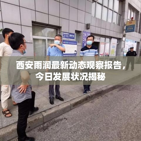 西安雨润最新动态观察报告,今日发展状况揭秘