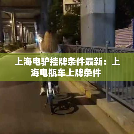 上海电驴挂牌条件最新：上海电瓶车上牌条件 
