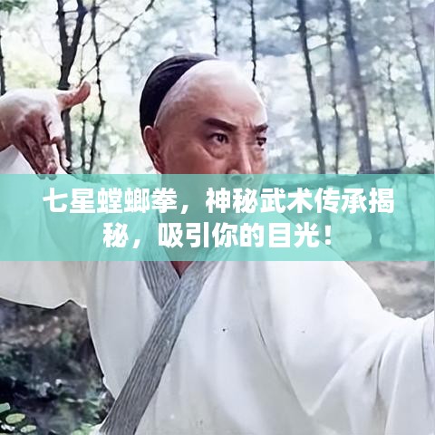 七星螳螂拳,神秘武术传承揭秘,吸引你的目光!