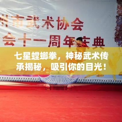 七星螳螂拳,神秘武术传承揭秘,吸引你的目光!