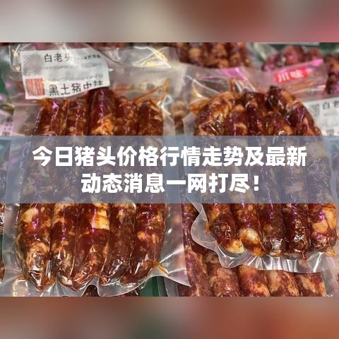 明夷于飞 第5页