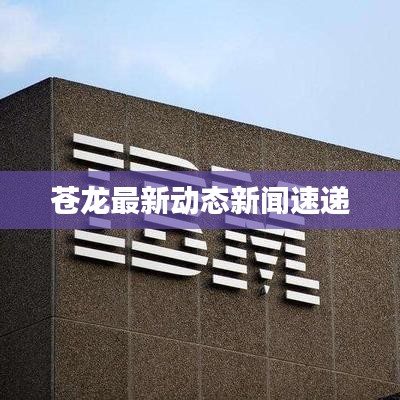 苍龙最新动态新闻速递